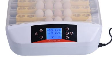 incubadora de huevo automatica