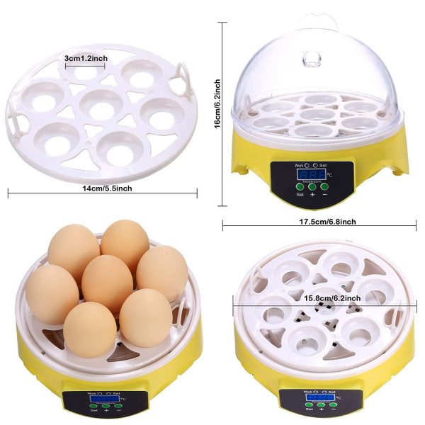 ICOCO Incubadora automática de huevos